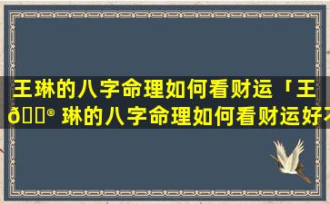 王琳的八字命理如何看财运「王 💮 琳的八字命理如何看财运好不好」